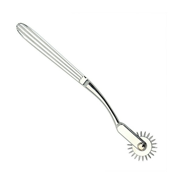 Wartenberg Pinwheel Roller Steel Pin Wheel.1 Round Massager
