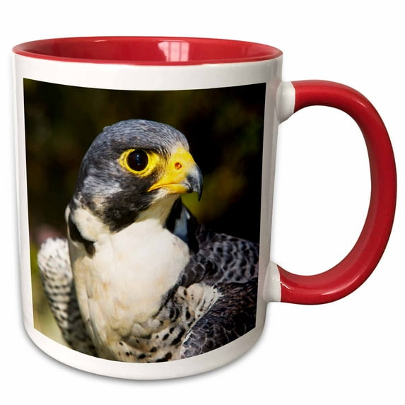 3drose, Wary Eye of Peregrine Falcon - Na02 Pwo0111 - Piperanne Worcester, 11oz Two-tone Red Mug