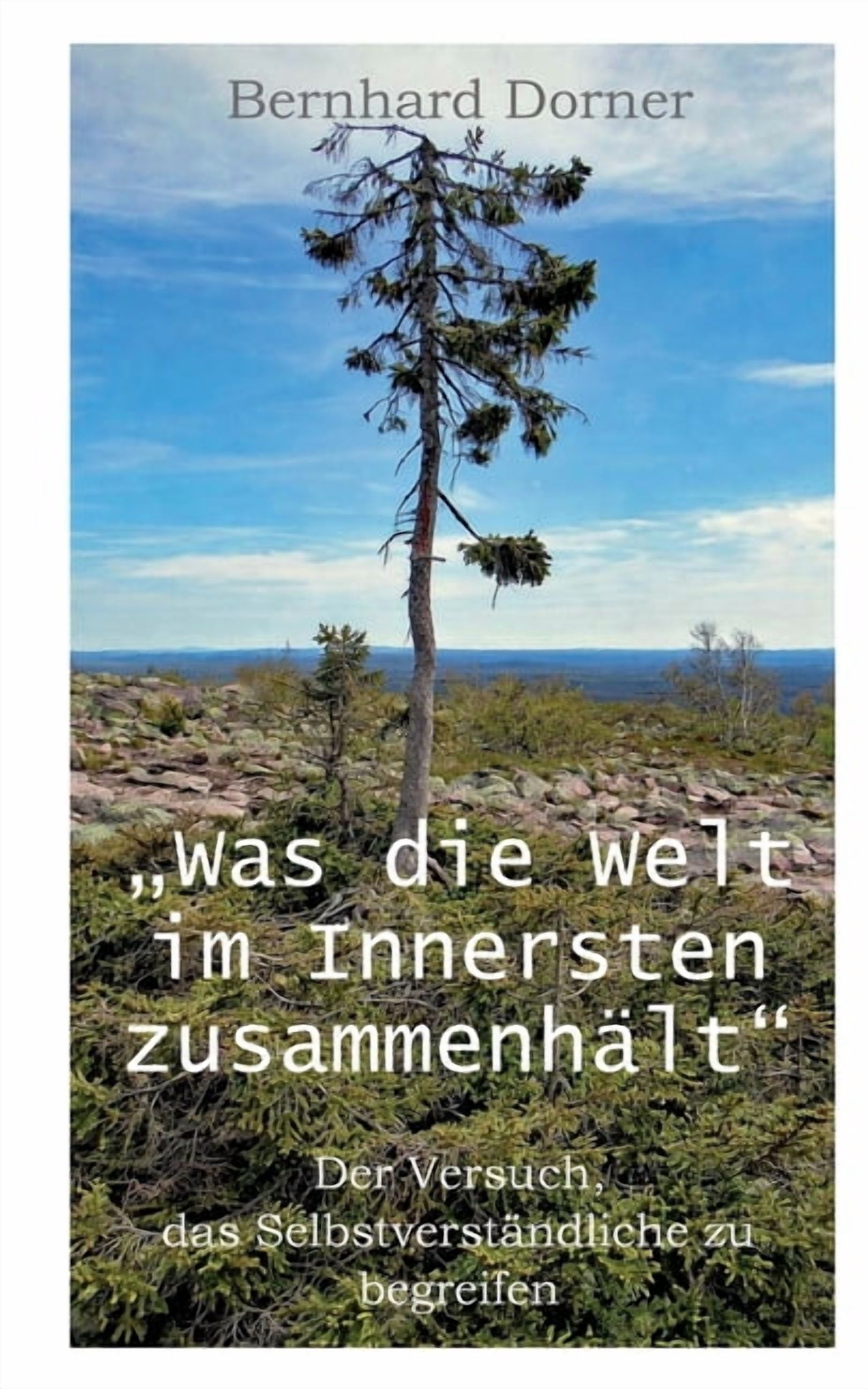 Was die Welt im Innersten zusammenhÃ¤lt: Der Versuch, das SelbstverstÃ¤ndliche zu begreifen, (Paperback)