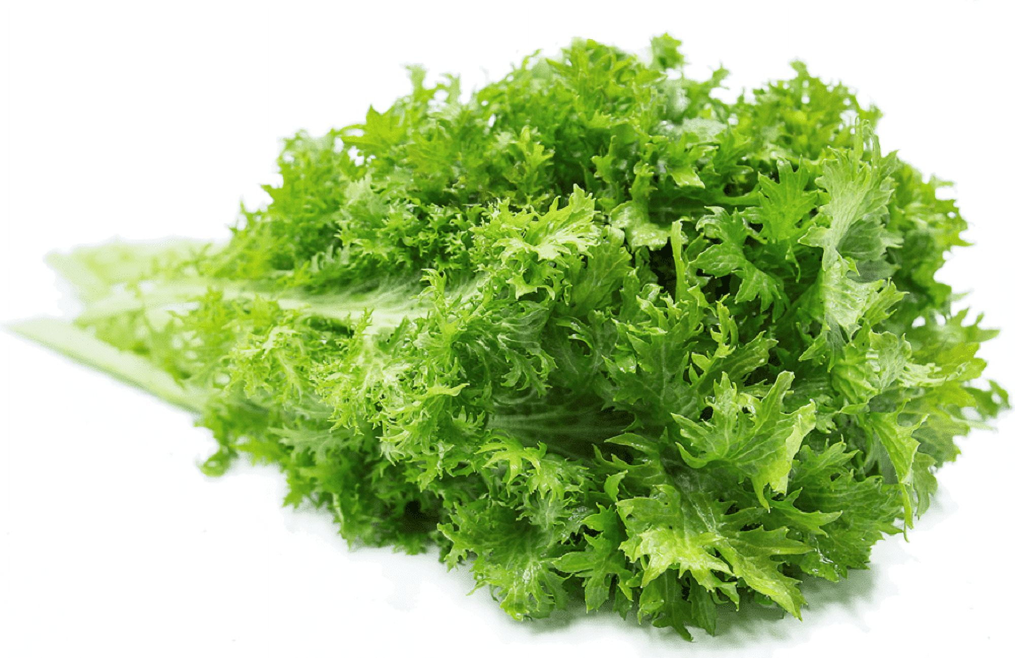 Wasabi Mustard Green Seeds 100 Count Seed Pack NonGMO Large