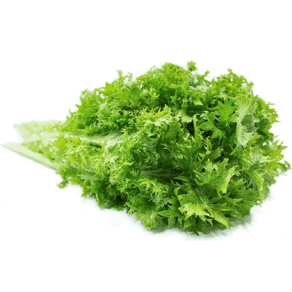 Wasabi Mustard Green Seeds - 200 Count Seed Pack - Non-GMO - Large Green Leaves with Wavy Edges and a Fun Wasabi-Like bite. - Country Creek LLC