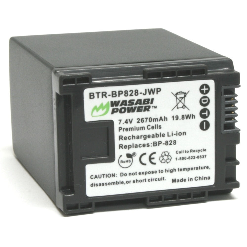 The Nex Wasabi Power 2-Pack NP-FV100 Batteries & USB Charger For Sony Cameras FDR-AX100 HDR-CX105 Compatible