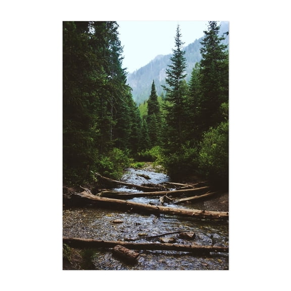 Wasatch Wilderness - Utah Photography Forest Nature Woodland Wilderness Scenic Mountain Water Unframed Wall Art Print 4 x 6 inches