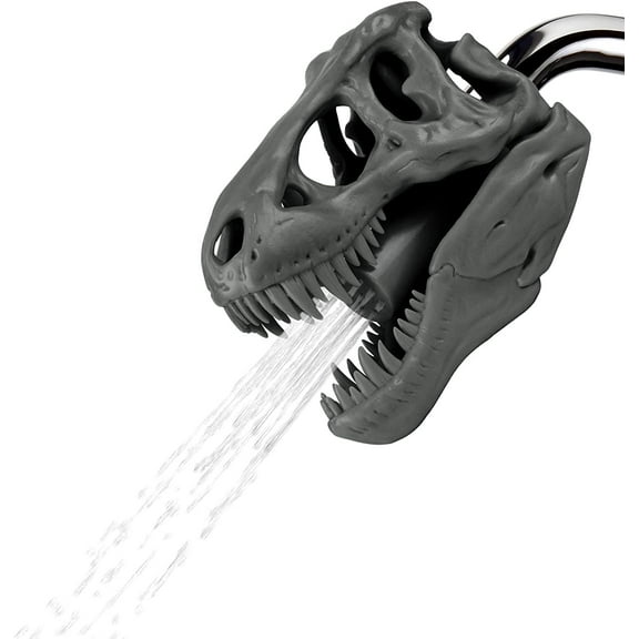 Wash N Roar Sculpted T-Rex Skull Shower Head | Gray