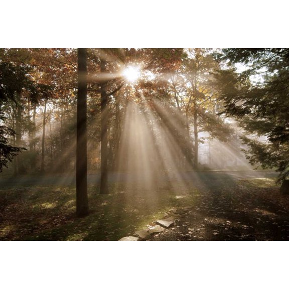 A New Day I Poster Print by Ann Dahlgren (18 x 12)