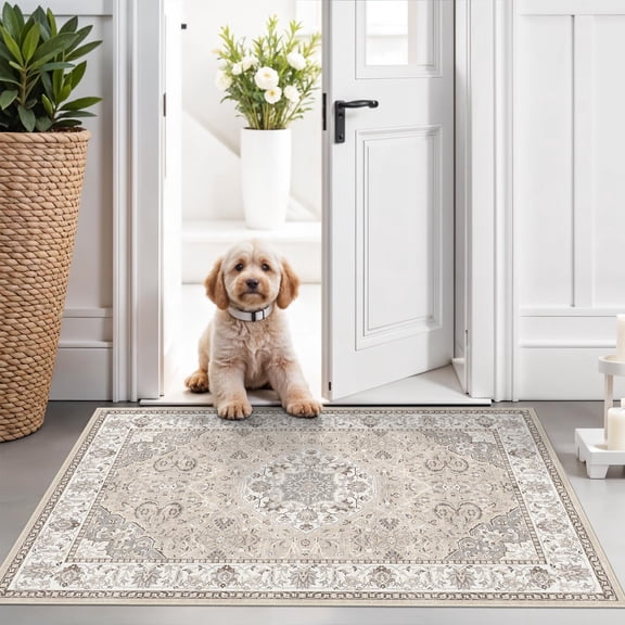 Washable 2x3 Entryway Area Rug - Neutral Kitchen Runner Vintsoft Floor Mat Non Slip Indoor Farmhouse Carpet For Bathroom Living Room Bedroom (2 X 3 Beige)