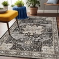 thumbnail image 1 of Washable 3x5 Area Rug - Soft Area Rugs for Living Room Stain Resistant Carpet Vintage Lightweight Rugs for Bedroom Kitchen entryway with Non Slip Backing Home Decor Small Mat 3X5 Black, 1 of 8
