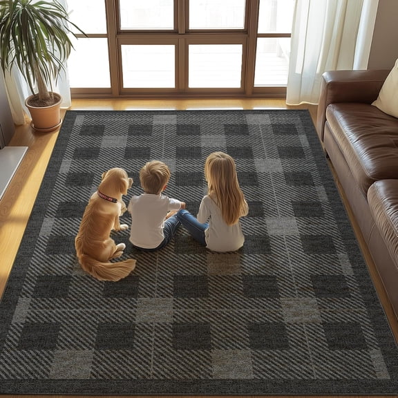 Washable 4x6 Checkered Rug for Living Room, Black Grey Checkerboard Modern Minimalist Large Area Rugs, Ultra-Thin Low Pile Soft Nonslip Indoor Floor Carpet Doormat for Office Bedroom Playroom Kitchen