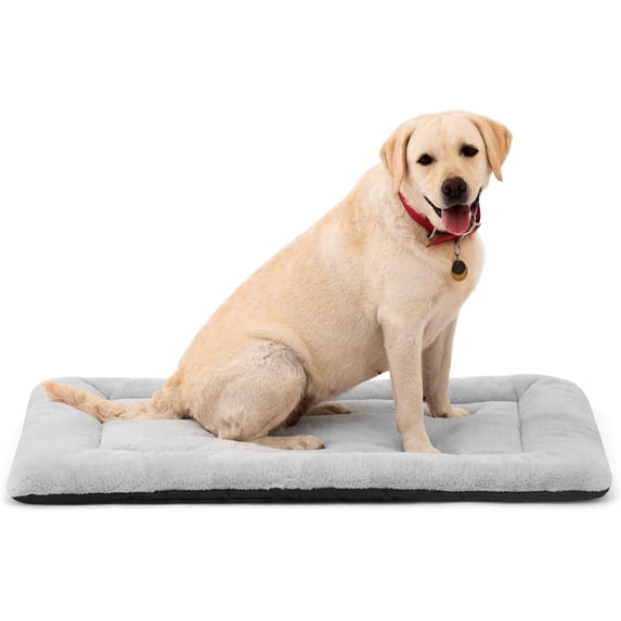Washable Dog Bed for Crate, Ultra Soft Plush Crate Pad Medium to Large Dogs, Non Slip Cushion Metal Crates, Indoor or Travel, 36 x 23 Inch, Gray