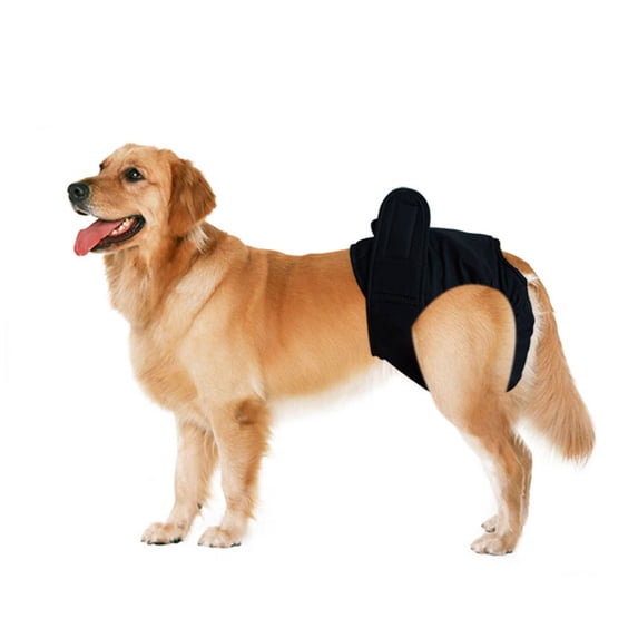 Washable Dog Diaper,Dogs Physiological Sanitary Pants Menstrual Underwear Washable Reusable Female Dog Diaper Puppy Comfort Protection