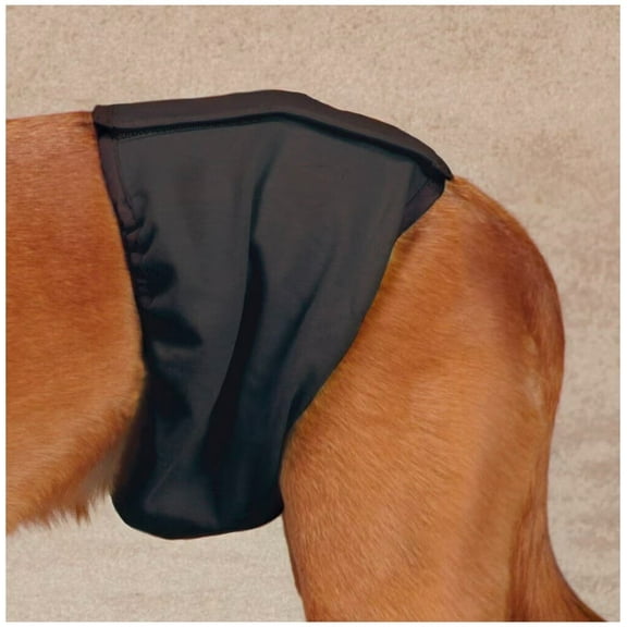 Washable Dog Diapers Male Wraps or 2 Unisex Cover Ups Reuseable Comfy Protection (Medium Male Wrap)
