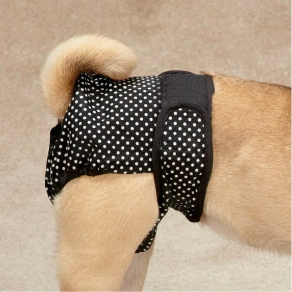 Washable Dog Diapers Male Wraps or 2 Unisex Cover Ups Reuseable Comfy Protection (xSmall Cover Up 2 Pack)