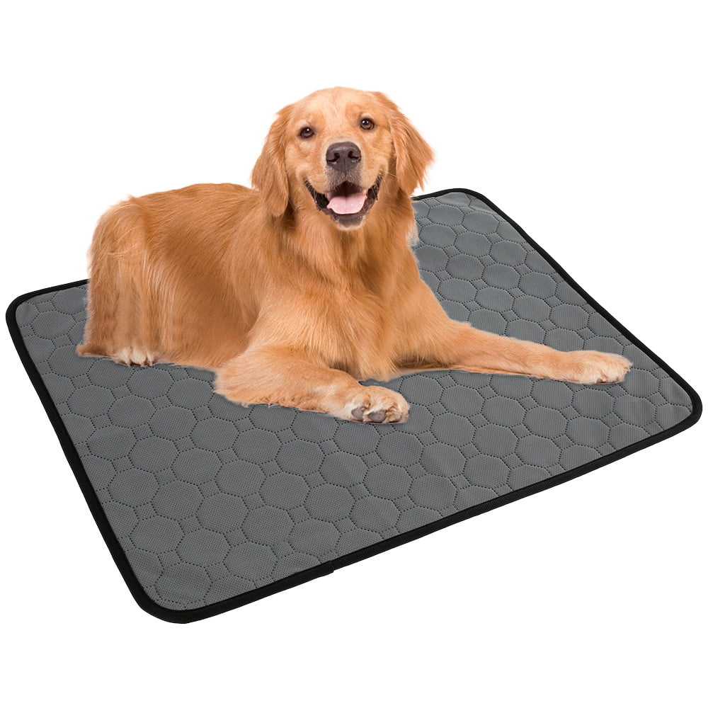 Buy The Proper Pet Washable Pee Pads for Dogs, Reusable Puppy Pads - Easy  to Clean, Waterproof Dog Mat, Puppy Mat - Reusable Dog Pee Pads - Washable  Potty Pads for Dogs 