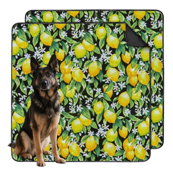 Washable Dog Potty Pads Fruit Design, Reusable Absorbent Mat with Non-Moving Backing for Crate Liner (Fruit patterns, 48"x48")