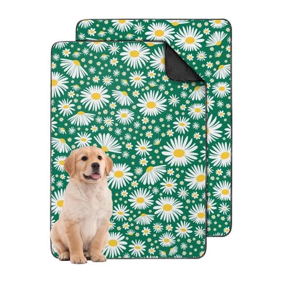 Washable Dog Training Pads 24x35 Inch 2-Set, Reusable Absorbent Puppy Urine Pads with Secure Grip for Use in Exercise Areas and on Wood Floors