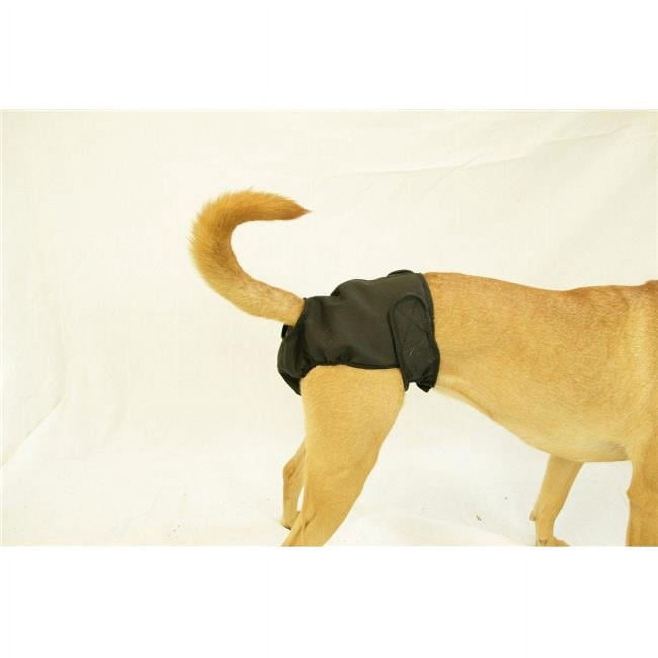 Washable Female Dog Diaper, Black - Fits Petite