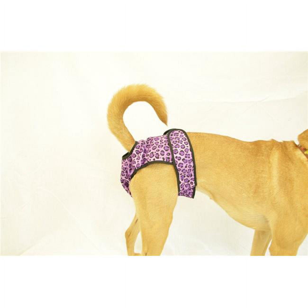 Washable Female Dog Diaper, Cheetah - Fits Queen