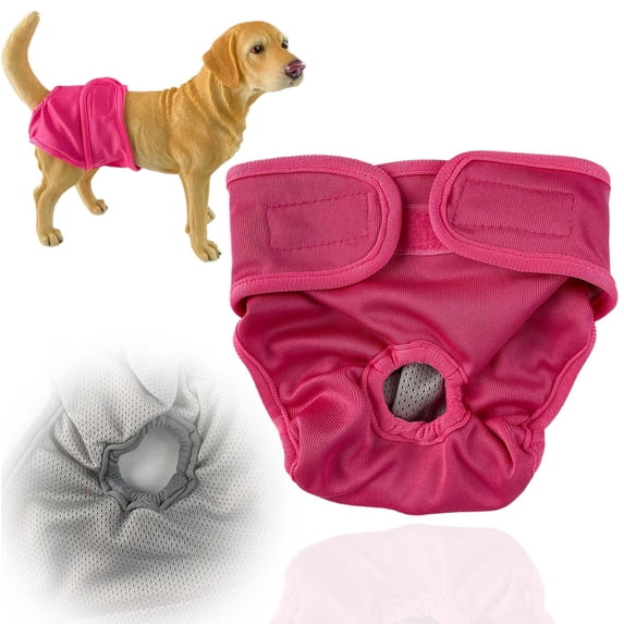 Washable Female Dog Diaper XL – Soft Breathable Sanitary Pant for Large Dogs, Adjustable Hook-and-Loop Pet Belly Band for Senior/Incontinent Dogs, Reusable Eco-Friendly Wrap (No Insert)