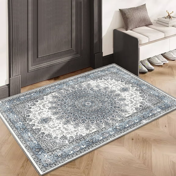 Washable Indoor Doormat 24" x 36" Front Door Mat Non-Slip Welcome Mat Blue