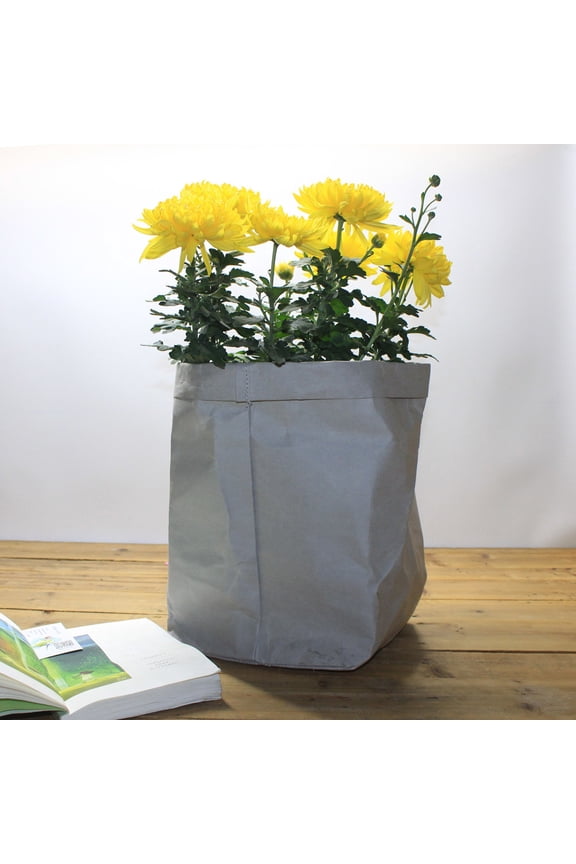 Washable Kraft Paper Bag, Kraft Paper Bags, Reusable, Large Durable, Moisture-Proof Ziplock Pouches, Eco-friendly Storage for Bakery Cookies, Plants, Flowers, Snacks, Jewelry