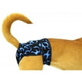 thumbnail image 1 of Washable Male Dog Belly Band, Blue Flames - Fits King, 1 of 1
