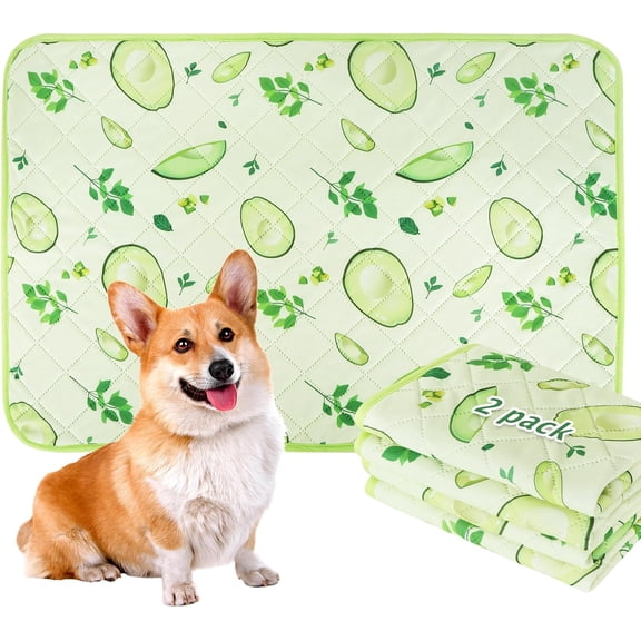 Washable Pee Pads for Dogs, 2 Pack Reusable Leakproof Puppy Wee Wee, Non-Slip Waterproof Pet Training, Super Absorbent Whelping XH081 (Avocado, 35X24 Inch)