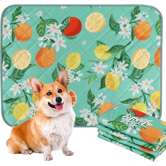 Washable Pee Pads for Dogs, 2 Pack Reusable Leakproof Puppy Wee Wee Pad, Non-Slip Waterproof Pet Training Pads, Super Absorbent Whelping Pads XH081 (Green Lemon, 35X41 Inch (Pack of 2))