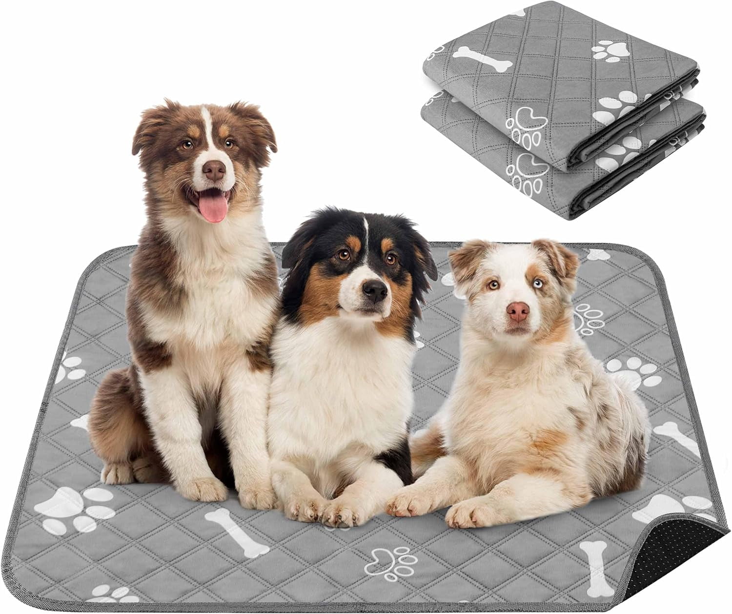 Super Absorbent Walmart Dog Potty Pads Vibrant Life Training Pads