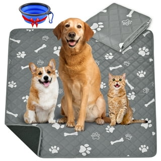 Washable Pee Pads For Dogs-Reusable Puppy Pads Large(soft)-Super Absor –  Sheraton Luxuries