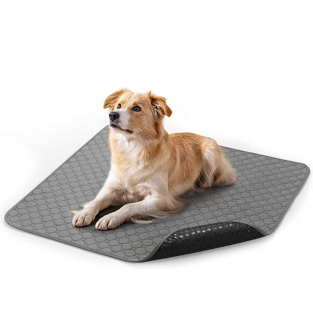 Pee pad in crate best sale