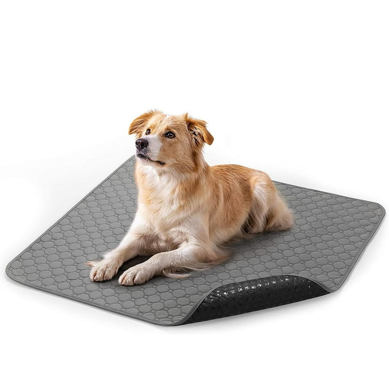 Washable pee cheap pee pads