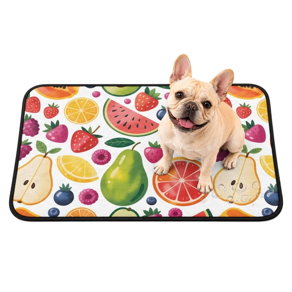 Washable Pee Pads for Dogs, Summer Fruits Non-Slip & Leak-Proof Potty Pads for Dogs, Reusable Pee Pad for Crates Floors Waterproof Puppy Training Pad 24"x18" Tropical Fruity Watermelon Kiwi Exotic