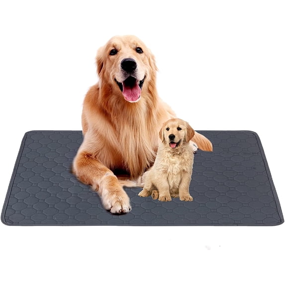 Washable Pee Pads for Dogs,Dinosam Reusable Dog Pee Pads Washable Training Pads for Dogs for Small Dogs 24"x18"