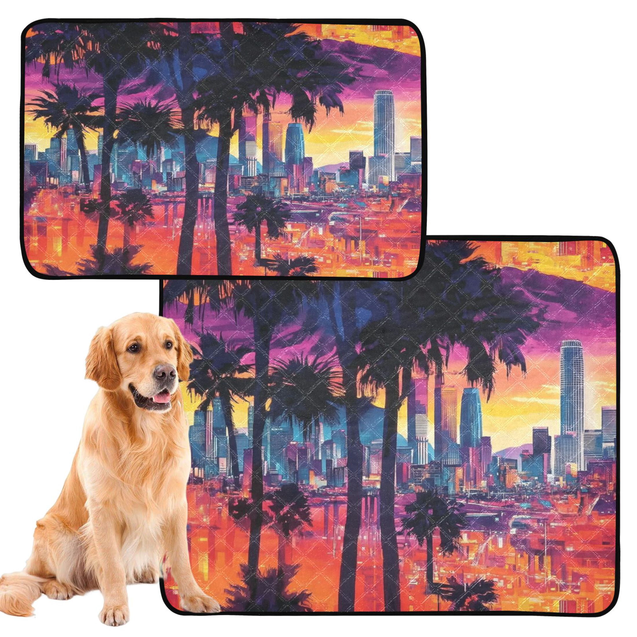 Washable Pet Pee Pads with Super Absorbent Reusable Training Pads for Dogs & Cats City View at Sunset