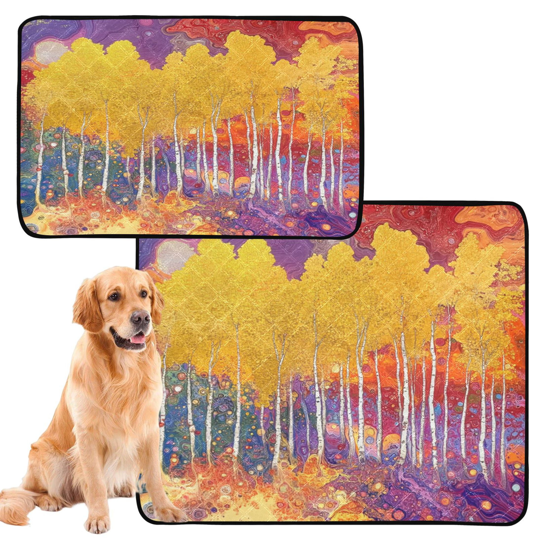 Washable Pet Pee Pads with Super Absorbent Reusable Training Pads for Dogs & Cats Colorful Aspen Grove