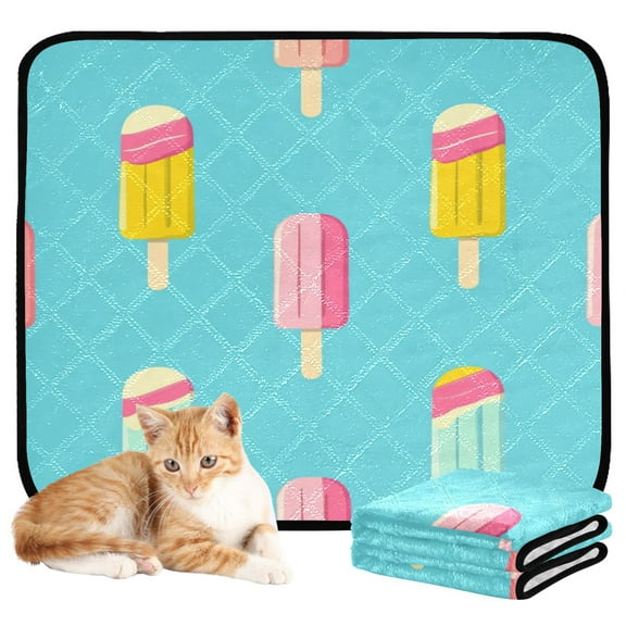 Washable Pet Pee Pads with Super Absorbent Reusable Training Pads for Dogs & Cats Cute Summer Popsicle
