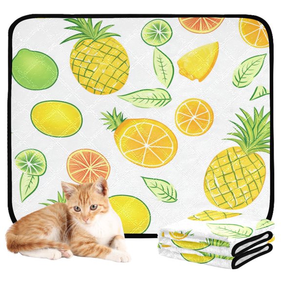 Washable Pet Pee Pads with Super Absorbent Reusable Training Pads for Dogs & Cats Mangoes and Pineapples Pattern