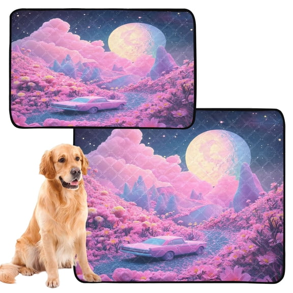 Washable Pet Pee Pads with Super Absorbent Reusable Training Pads for Dogs & Cats Pink Planet with Clouds