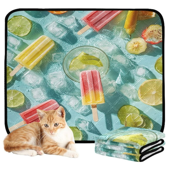 Washable Pet Pee Pads with Super Absorbent Reusable Training Pads for Dogs & Cats Popsicles and Fruit Slices