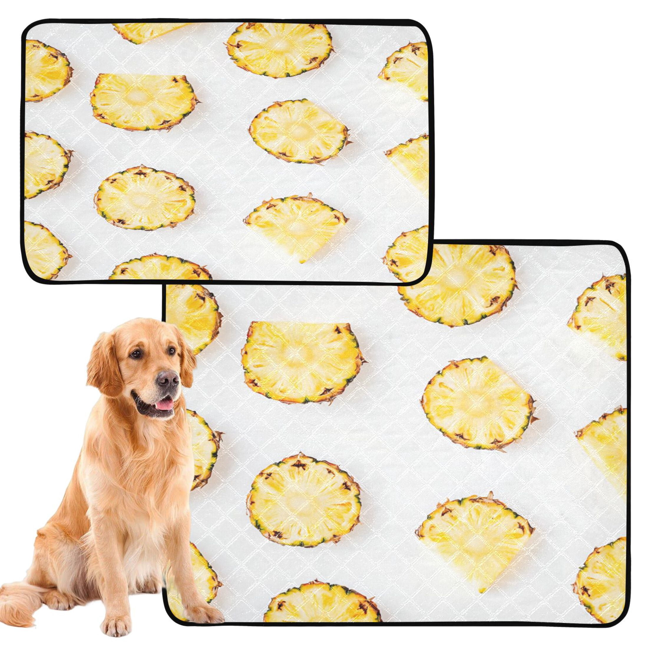 Washable Pet Pee Pads with Super Absorbent Reusable Training Pads for Dogs & Cats Sliced Pineapple