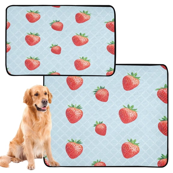 Washable Pet Pee Pads with Super Absorbent Reusable Training Pads for Dogs & Cats Strawberry