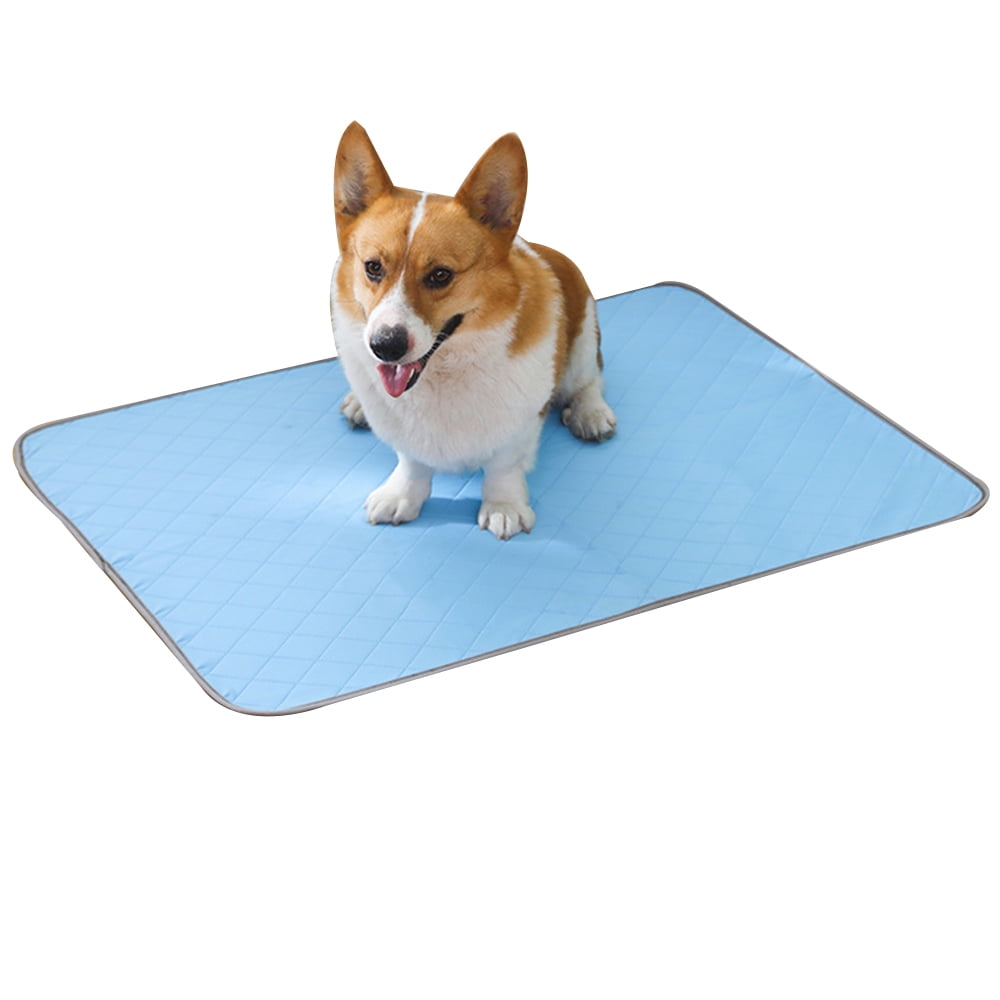 Washable Reusable Pee Pads for Dogs 100 Waterproof & Extra Absorbent