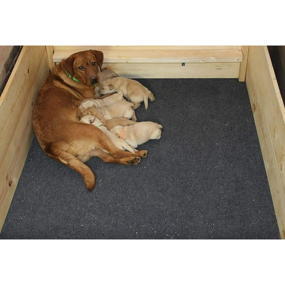 Machine Washable Dog Puppy Whelping Mat, Waterproof & Slip-Resistant, Quick Dry, Reusable for Training, Housebreaking, Incontinence