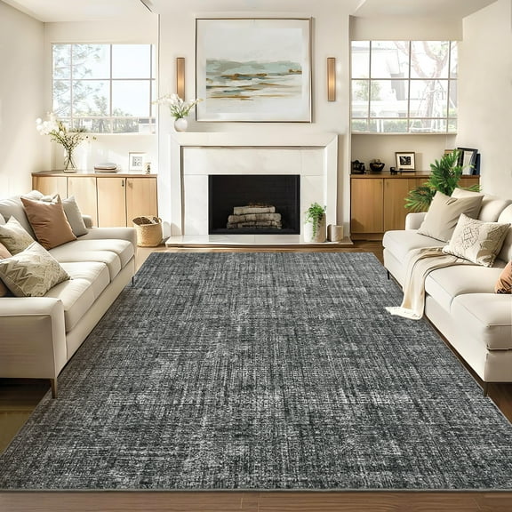 Washable Rug 8x10 Area Rug for Living Room Solid Grey Rug Modern Rug, Non Slip Soft Thin Rug, Distressed Plain Rug, Contemporary Foldable Printed Rug for Bedroom
