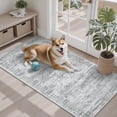 Washable Rugs 2x3 for Kitchen Entryway Powder Room Non-Slip Low Pile ...
