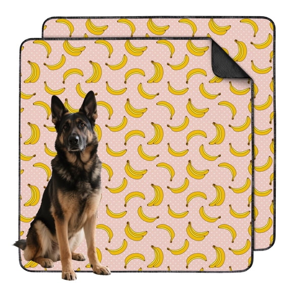 Washable and Reusable Dog Pee Pads with Fruit Patterns, 48"x48" Non-Slip Potty Training Mat for Indoor Use on Tile, Laminate Surfaces