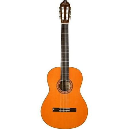 Washburn Acoustic Classical Nylon String Guitar Spruce Top