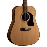 Washburn Apprentice D5 Acoustic Guitar