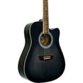 thumbnail image 1 of Washburn WA90CE Dreadnought Acoustic-Electric Guitar Transparent Black, 1 of 1