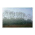 thumbnail image 1 of Washed Out - Charleston South Carolina Photography Unframed Wall Art Print 12 x 18 inches, 1 of 7